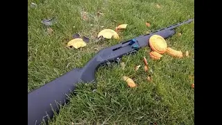 Stoeger M3K Semi Auto Shotgun 250 Round Break-In
