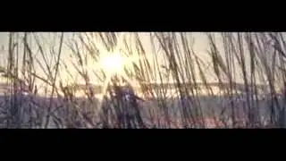 25/17 Собака (Засада production 2010)
