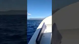 Eavesdropping on whales chatting in Mauritius 