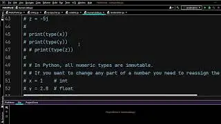 Numeric data type in Python