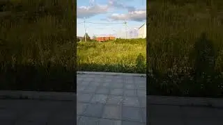 ДНК тест сделал?#топ #мир #подпишись #история