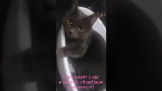 Найдёныш