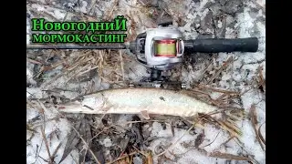 Новогодний МОРМО КАСТИНГ