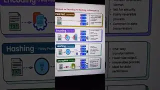 Plaintext vs Encoding vs Hashing vs Encryption