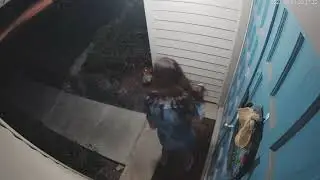 Girl vs. Skunk