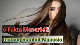 5 Fakta Menarik Tentang Rambut Manusia, Yang Perlu Anda Tahu
