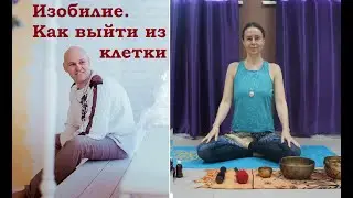 Изобилие. Как выйти из клетки и обрести состояние достатка
