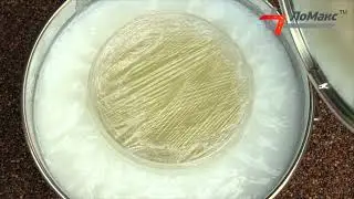 ИНСТРУКЦИЯ ПО УКЛАДКЕ 