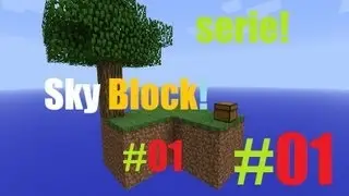 Serie Sky Block Ep.1 !!! Muy Noobs!!!