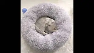 Cat Bed Pet Bed Pet House Cat Tilam Kucing Katil Kucing Dog Bed Indoor Standard Size 40cm Luxury Sha