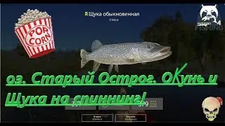 Russian Fishing 4. Oz. Old Ostrog. Codes for catching Okun and Pike on spinning!