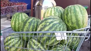 Безопасно ли сейчас покупать арбузы, рассказали жителям Когалыма