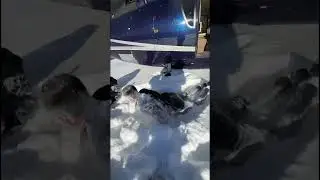 ЛИТВИН ПРЫГАЕТ С ВЕРТОЛЕТА