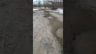 29 апреля 2024 г.