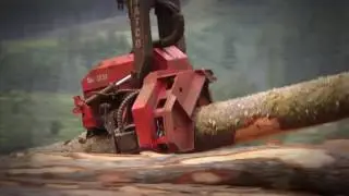 Customer Testimonial for the Cat® 558 LL Forest Machine