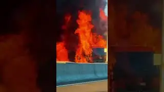 ЧП трасса м11 | Теракт или дураки на дорогах? #дтп #м11 #новости #срочно