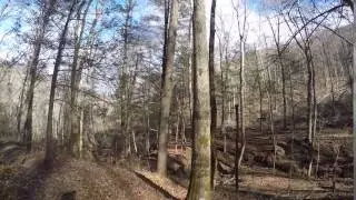 Windrock logging