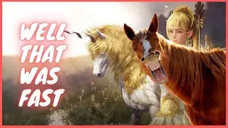 BDO 2022 - Dream Horse Awakening Gone Crazy