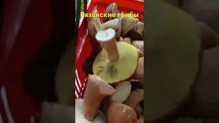 Рязанские грибочки 🍄‍🟫 #shorts