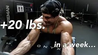 The bulk begins…