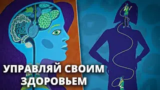 КАК РАБОТАЕТ ПСИХОСОМАТИКА | Рик Герд Хамер