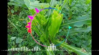 Iu mien nzung mbuo oix yangh jienv ziouv yesu nyei jauv