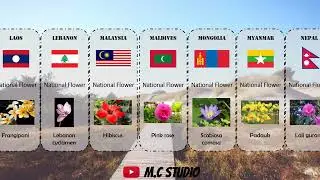 List of Asian Countries & their National Flowers.