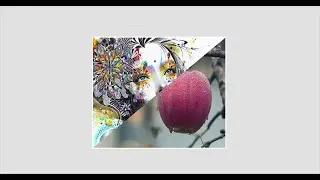 CSS Clip-path Image Hover Effects | Html CSS