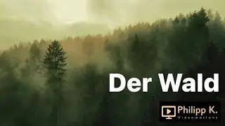 Der Wald - Bellach - Solothurn - Switzerland HD
