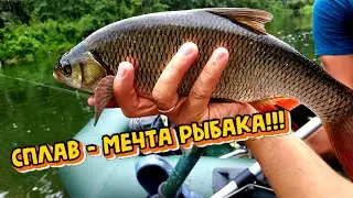 Rafting on the SOK River. Every fisherman's dream!!! Part 1