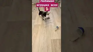 а у вас какая?