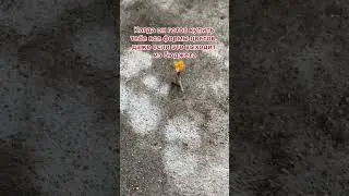 Когда понимаешь, что такое настоящая любовь...