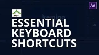 Keyboard Shortcuts in Adobe After Effects (Must know)