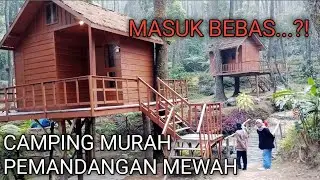 Camping di Sekipan Camp #short #shorts #camping #tawangmangu