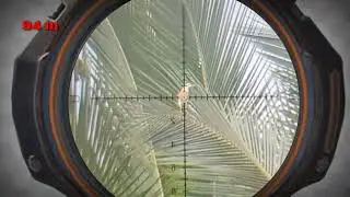 HUNTING DI JARAK - JARAK IDEAL.... 63 M - 94 M