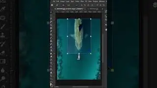 Auto blend layer in Photoshop 
