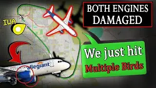 BOTH ENGINES DAMAGED | Multiple Bird Strikes on Takeoff