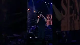 Semicenk Geri dönemedim konser