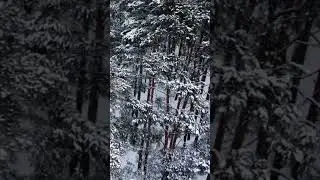 «Девица из водицы» Сергей Волостнов. Сказ. (Часть 21) 