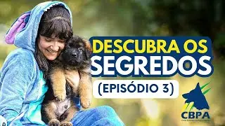 TUDO O QUE VOCÊ NÃO SABE SOBRE PASTOR ALEMÃO: Segredos do Pedigree Revelados (Ep.3)