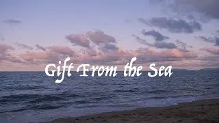 Gift From the Sea