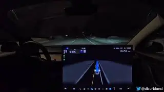 Tesla - FSD Beta 11.3.3 - Highlights - Tesla Vision Detects & Stops For Bunny #shorts