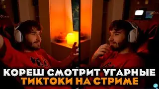 КОРЕШ СМОТРИТ УГАРНЫЕ ТИКТОКИ НА СТРИМЕ / УГАРНЫЕ ТИКТОКИ (KORESHZY)