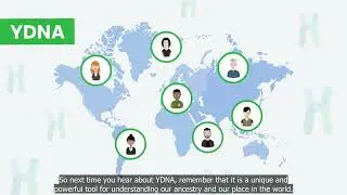 What is YDNA?