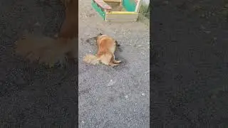 Разминка красотки хитропопой