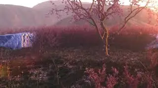 Blender 3d: Sunset at a Prairie