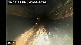 10557 HELENDALE AVE  - INITIAL SEWER INSPECTION
