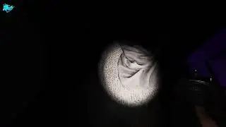 Did Ghost Sing to ME Phasmopbhia