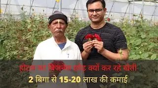 होटल का बिज़नेस छोड़ गुलाब की खेती करके कमा रहे लाखो | Ideal for Farmers