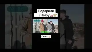 MrBeast подарил Ламбаргини своему подписчику